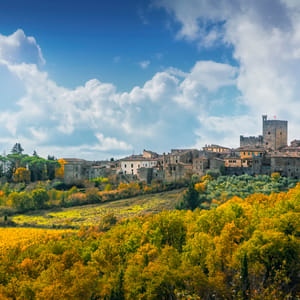 Castellina in Chianti village, vineyard and autumn foliage. Tuscany, Italy. Europe.